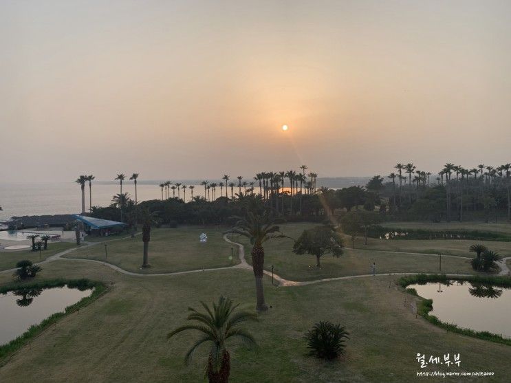 제주 표선 여행 :: 소노캄제주 패밀리 오션뷰 / 한아름식당...