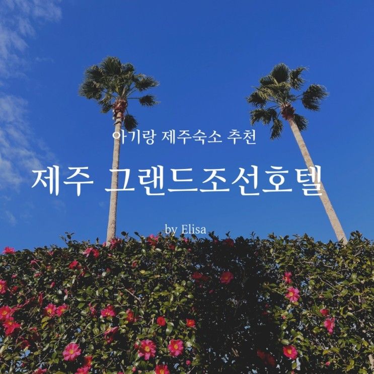 [제주 숙소] 아이랑 그랜드 조선 제주 2박 후기(룸컨디션,수영장...