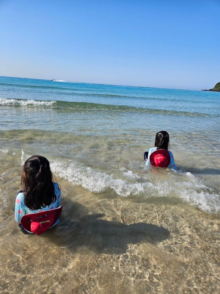 6월 초1 8살 아이랑 제주 동쪽... 성산 본점/표선 해비치호텔)