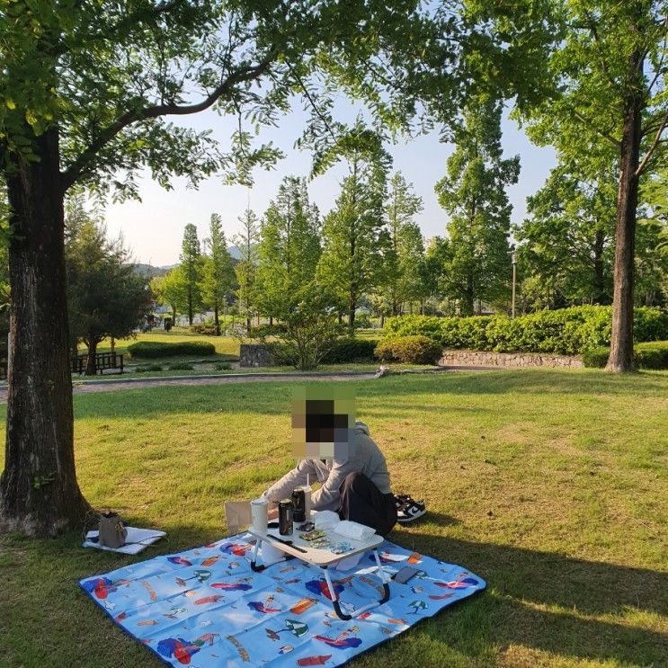 소노벨 천안 웨스트(WEST동) 스위트A 1박2일, 공원 피크닉