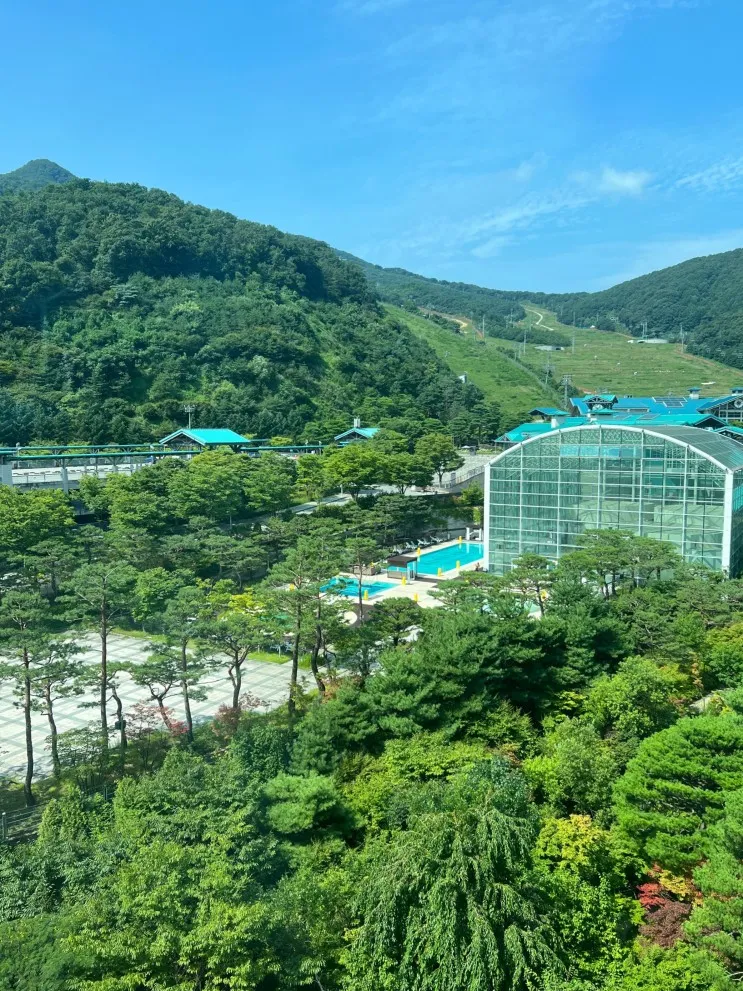 여름 곤지암 리조트 : 노블... 주차등록방법 아이와함께 경기도...