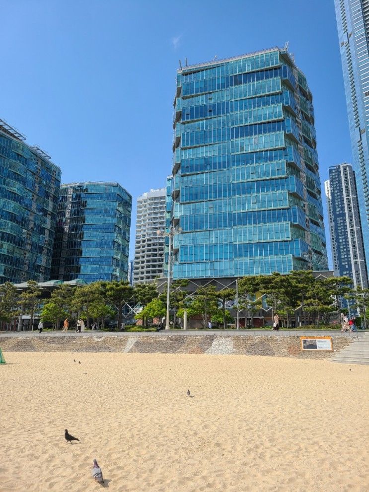 부산숙소[팔레드시즈] 해운대콘도 아이랑 이용후기