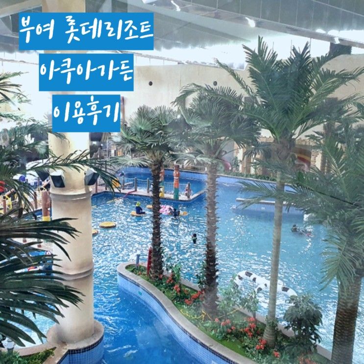부여 롯데리조트, 아쿠아가든, 6개월아기랑, 5세 아이랑...