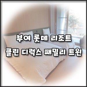 [롯데 리조트 부여] 클린 디럭스 패밀리트윈 객실 아이랑 후기