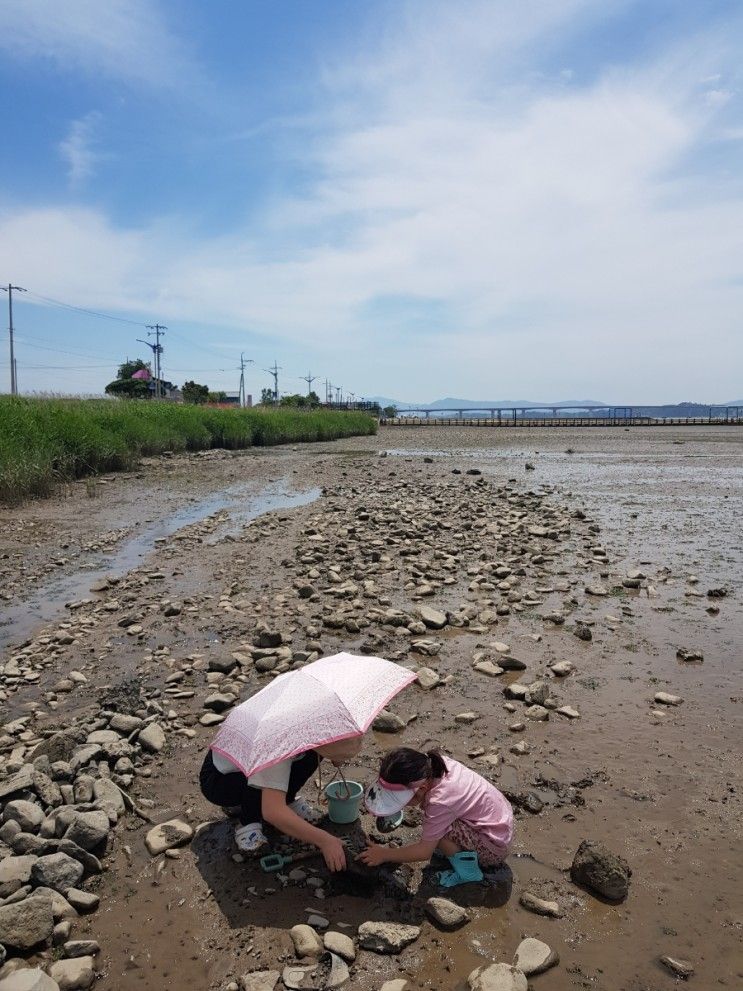 [사천아이랑]아르떼리조트 근처 거북선마을 부잔교 갯벌탐방로...