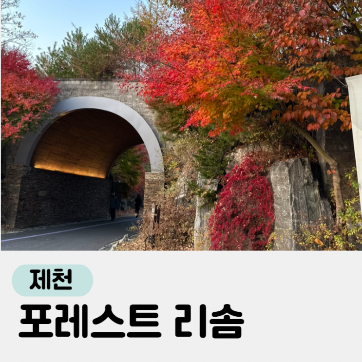 아이와 가기좋은 리조트, 제천 리솜 포레스트(+레스트리와 비교)