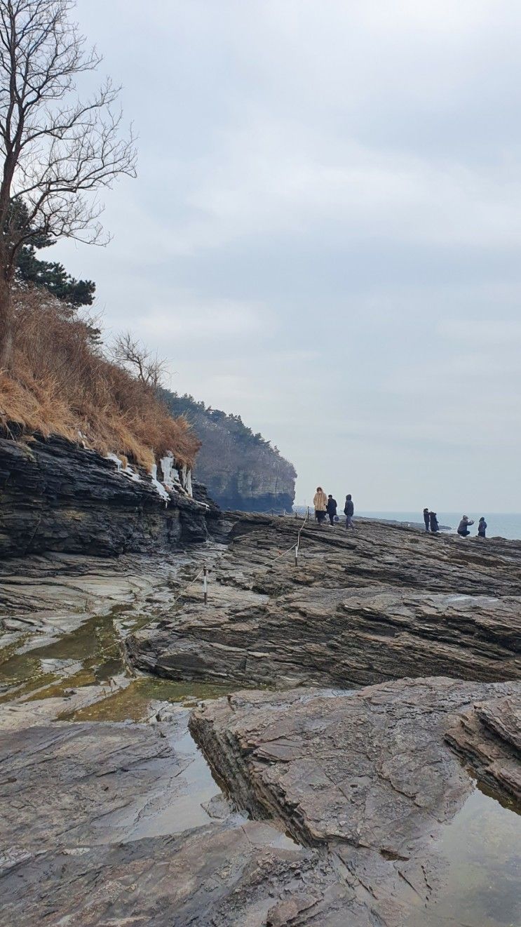 변산소노벨, 호텔현대 바이라한 목포