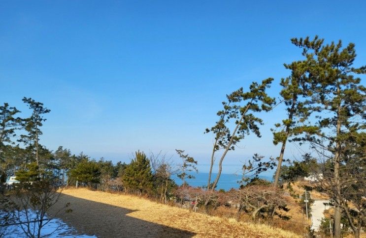 충남 태안 se클럽 펜션 풀빌라펜션 태안가볼만한곳 태안풀빌라...