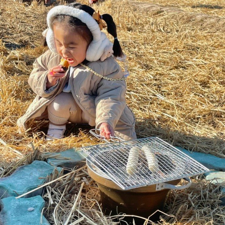 경남 아이랑 가볼만한 곳 창원 딸기따기체험, 창원다감농원