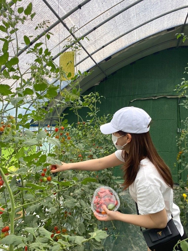 창원 근교 아이들과 가볼만한곳 [ 다감농원 ]