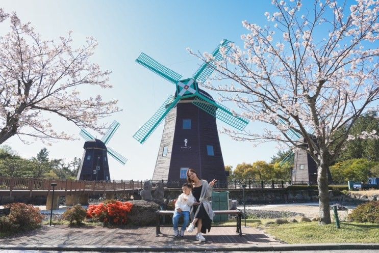 롯데호텔 제주, 아이 동반한 가족여행 호텔로 강추, 음식...