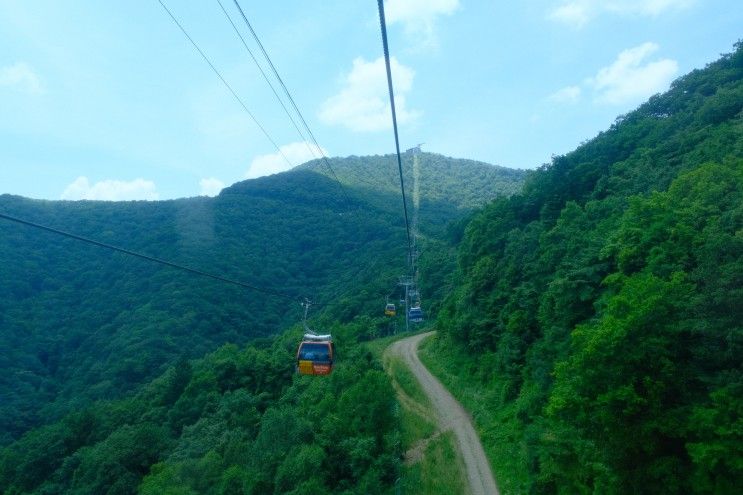 [평창, 강릉여행] 한화리조트 평창, 발왕산 케이블카, 갤러리밥스