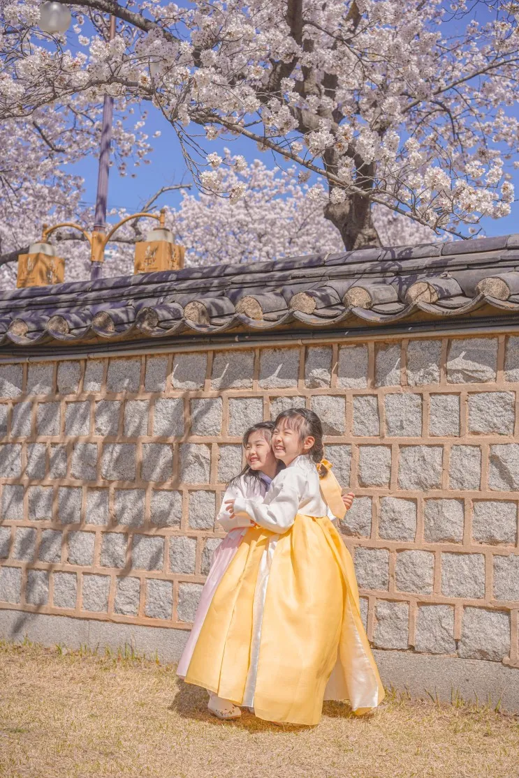 한화리조트 경주 에톤 후기 & 벚꽃 따라 아이와 1박 2일 경주여...