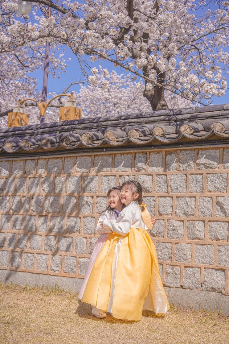 한화리조트 경주 에톤 후기 & 벚꽃 따라 아이와 1박 2일 경주여...