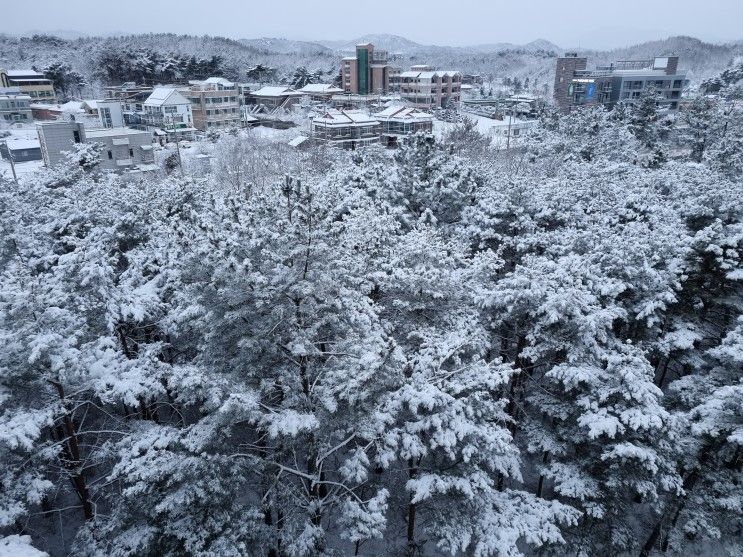 강원도숙소/아이동반숙소/오션투유리조트속초설악비치호텔엔...