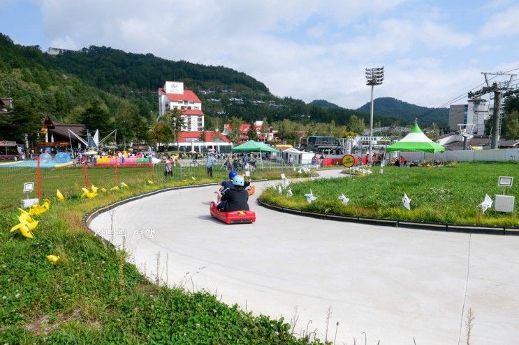 용평리조트 루지, 발왕산케이블카 1박2일 평창여행