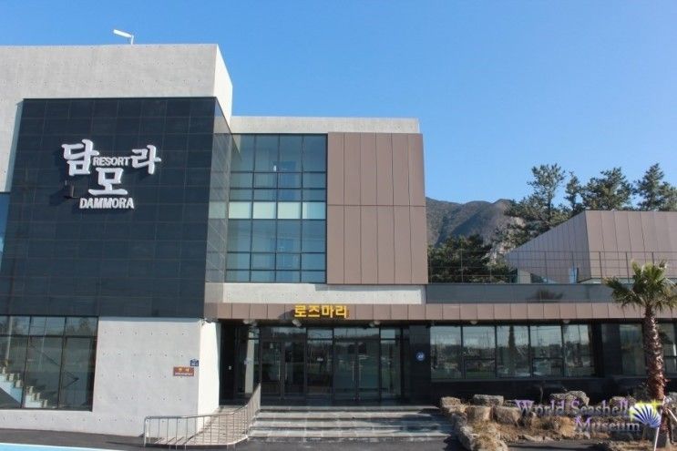 산방산근처리조트추천 깔끔하고전망좋은 "담모라펜션"