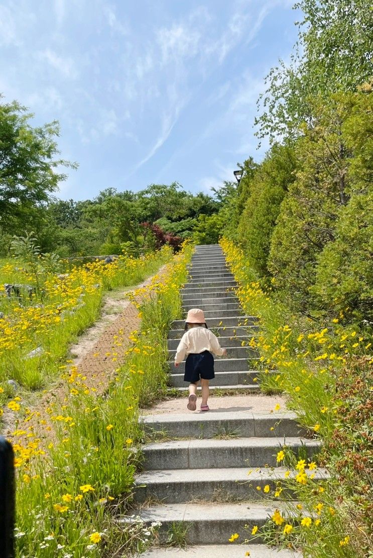 [아이와갈만한곳] 북서울꿈의숲 사슴방사장 가는방법, 어린이놀이터 +주차 정보