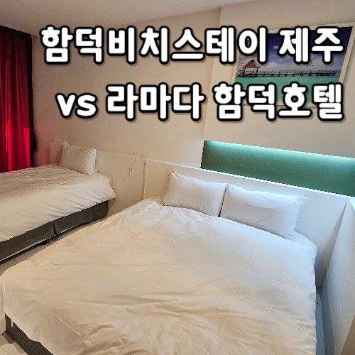 함덕비치스테이 제주 (vs 라마다 함덕 호텔)