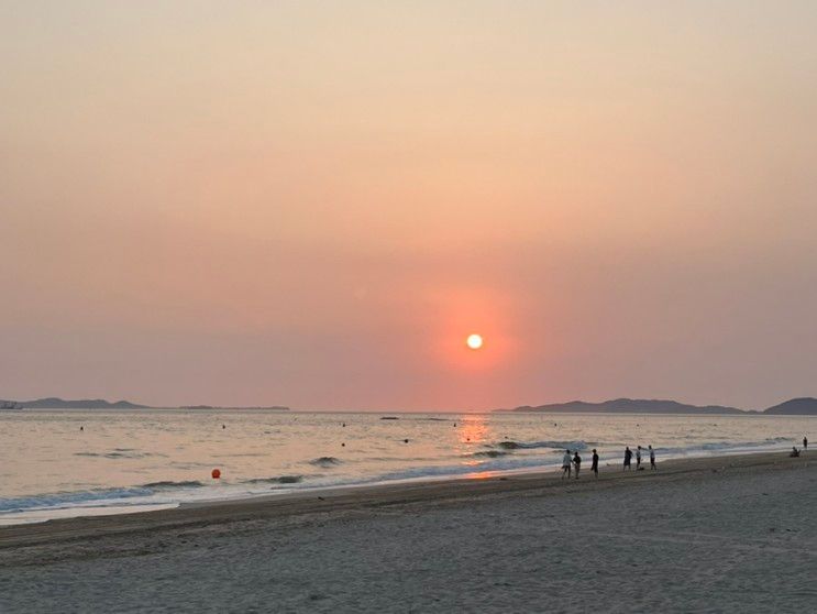 보령) 대천해수욕장 바로 앞... 더블 오션뷰 [머드비치 호텔]