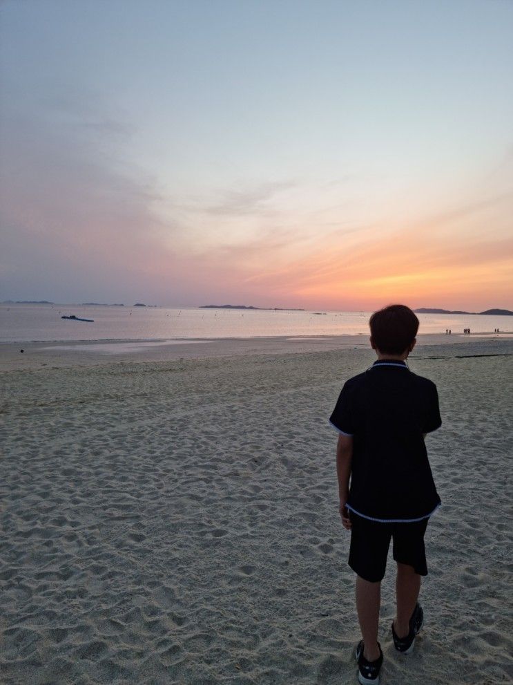 보령(머드비치호텔, 해물상회, 대천해수욕장), 태안(신두리횟집...