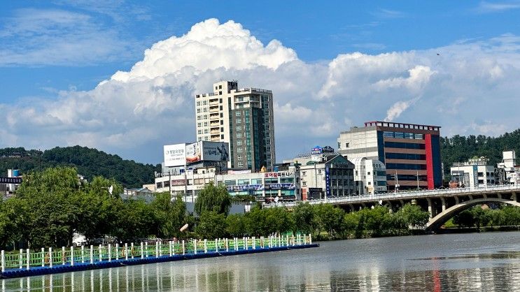 진주 호텔 골든튤립호텔 남강 숙소 숙박