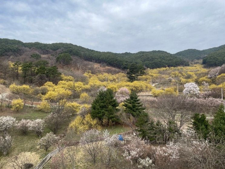 더케이지리산가족호텔 조식 뷔페 / 호텔 뷰 / 산책로