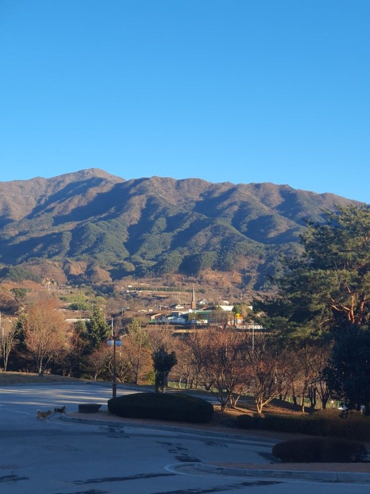 여자 3대 여행, 구례 산수유 마을, 더케이 지리산가족호텔