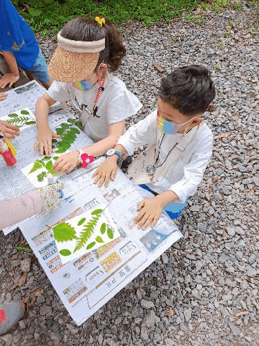 김해 분성산 생태숲 체험 프로그램 ♡ 알차고 유익한 부산근교 아이들과 가볼만한곳