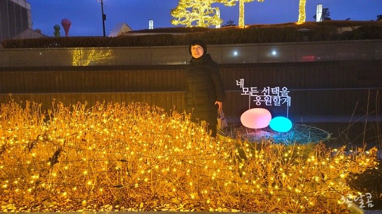 60대 엄마 생신선물 롯데시티호텔 김포공항 호캉스로...