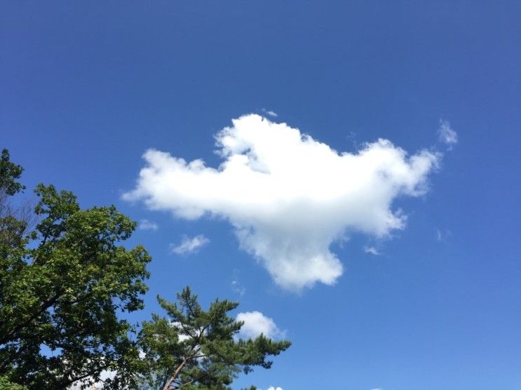 오랜만에 가족여행, 가평 연인산온천리조트와 제이든가든수목원!