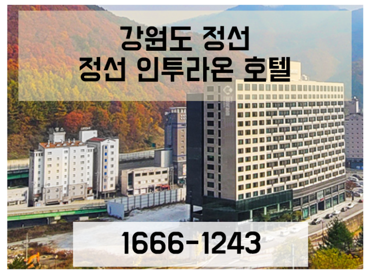 [강원도 정선 / 내돈내산] 정선인투라온 호텔 강원도여행