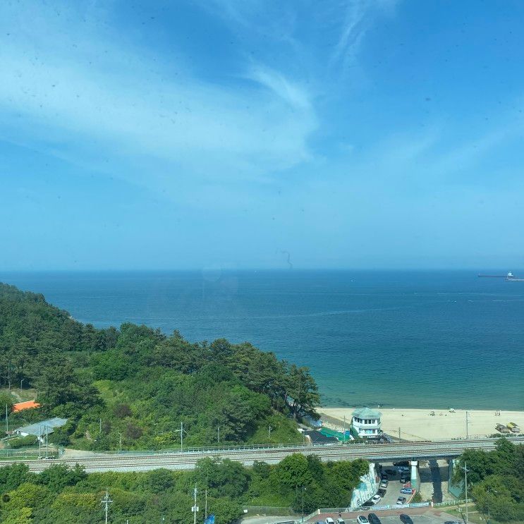 동해 묵호 숙소 오션시티 레지던스 호텔 복층 오션뷰 가족여행 굿!