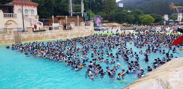 [여행/놀이동산]주말 캐리비안 베이 / 골든튤립에버용인호텔...