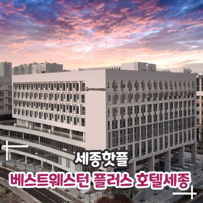 호캉스 베스트웨스턴 플러스 호텔 세종 내돈내산 방문기