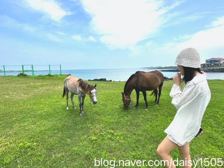 제주 우도 가볼만한곳 여행코스 훈데르트힐즈 리조트 포함