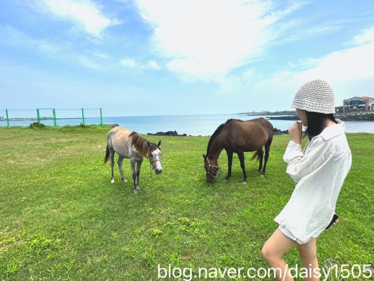 제주 우도 가볼만한곳 여행코스 훈데르트힐즈 리조트 포함