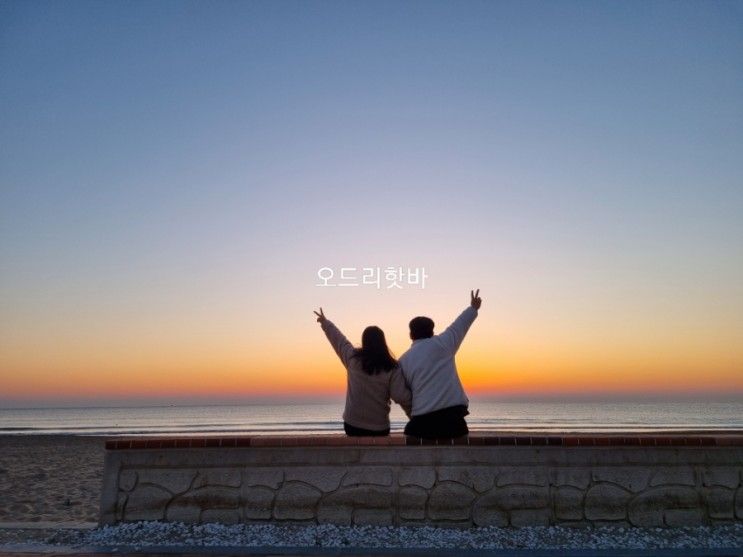 [여행] 포항 #더씨쇼어풀빌라