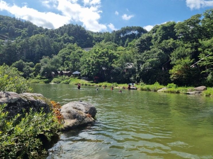 가평 [해목글램핑] 진이네 이용후기 / 용수계곡, 완벽한 휴일