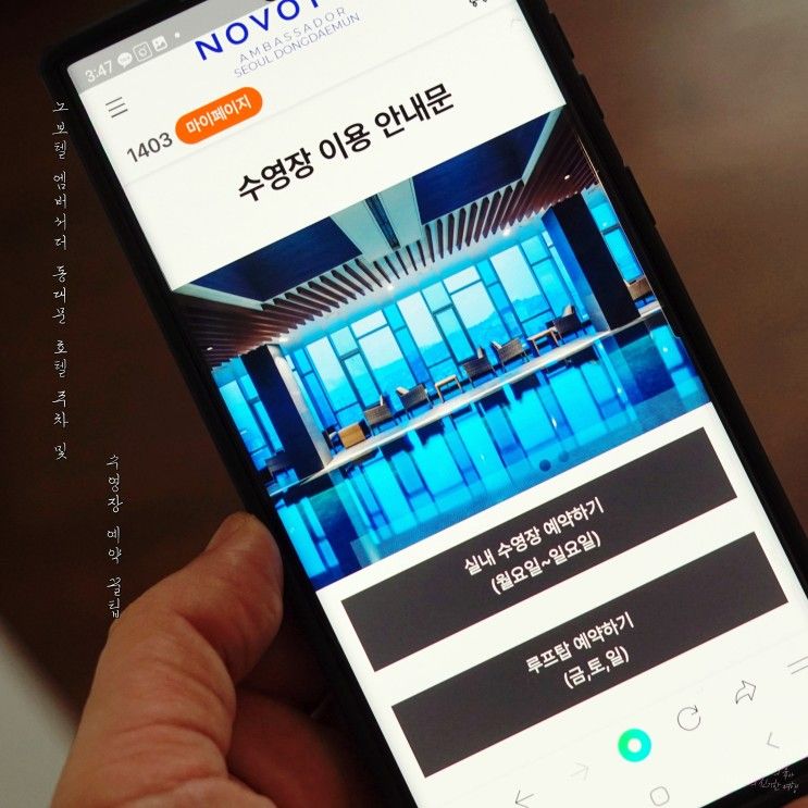 노보텔 앰배서더 동대문 호텔 주차 및 수영장 예약 꿀팁