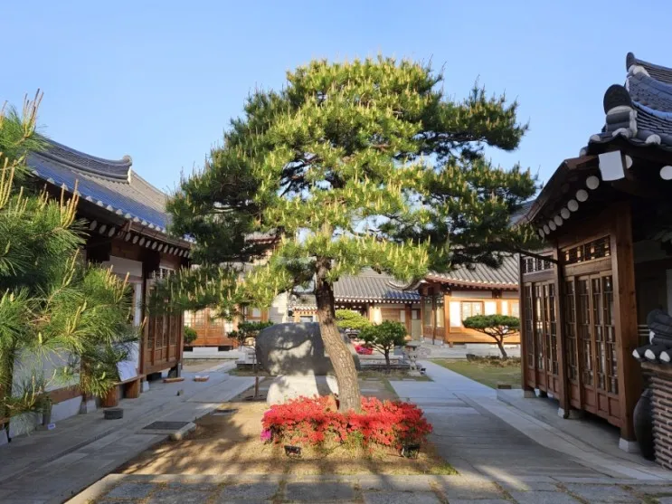 경주 황리단길 숙소 # 한옥 및 한복체험 가능한 황남관 한옥호텔