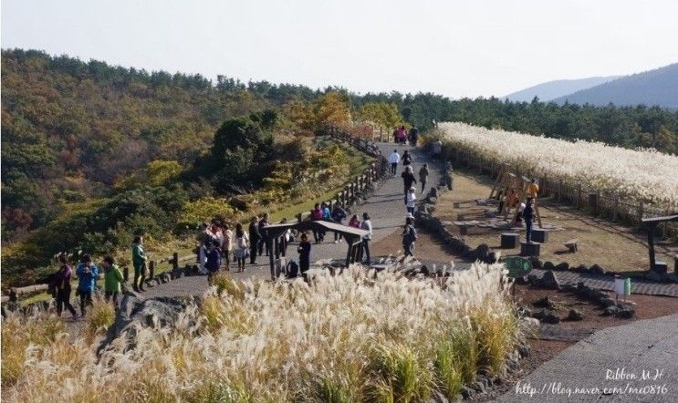 추천 :: 제주도가족여행 :: 가을여행 추천 :: 엠버호텔 센트럴...