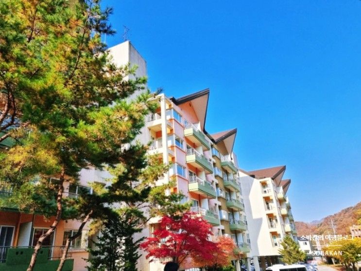 포천 숙소 가볼만한곳 한화리조트 산정호수 안시 조식 숙박 후기