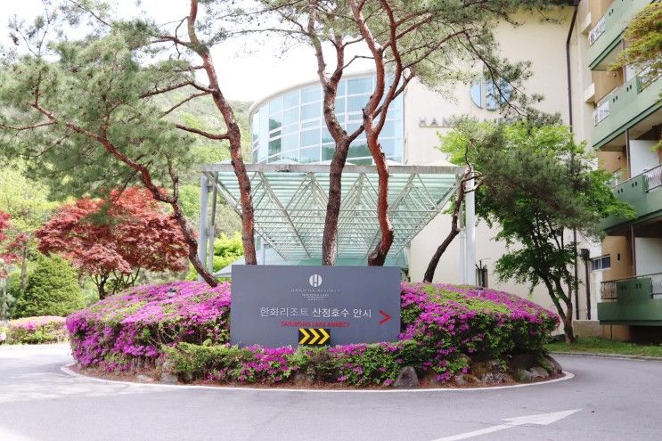 포천 한화리조트 산정호수 안시 투숙 후기 + 주변 밥집