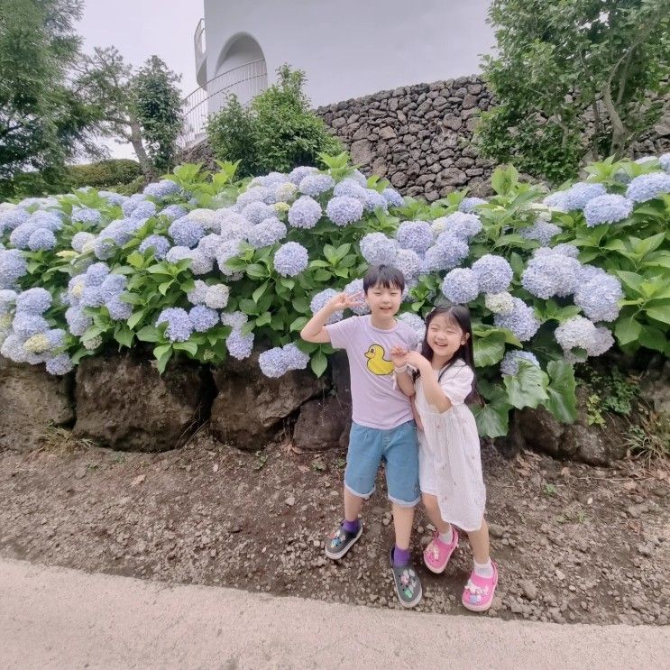 아이랑 제주 6박7일 :) 액트몬... 명월국민학교/ 한림리조트...