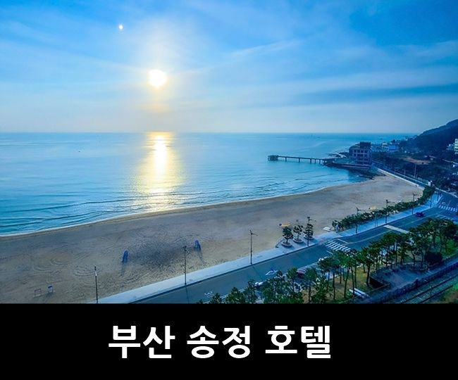 부산 송정 호텔, 부산 오션뷰 호텔 라온