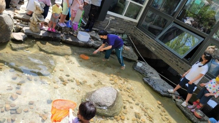 도토리숲키즈파크 숲놀이터 카페 미꾸라지잡기 동물먹이주기