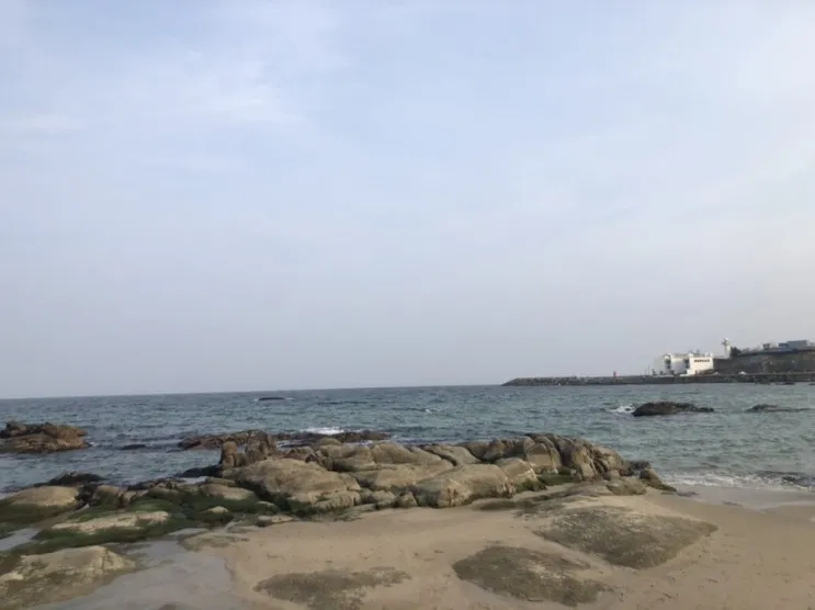 강원도 고성 벨로시 아야진 키즈풀빌라 후기