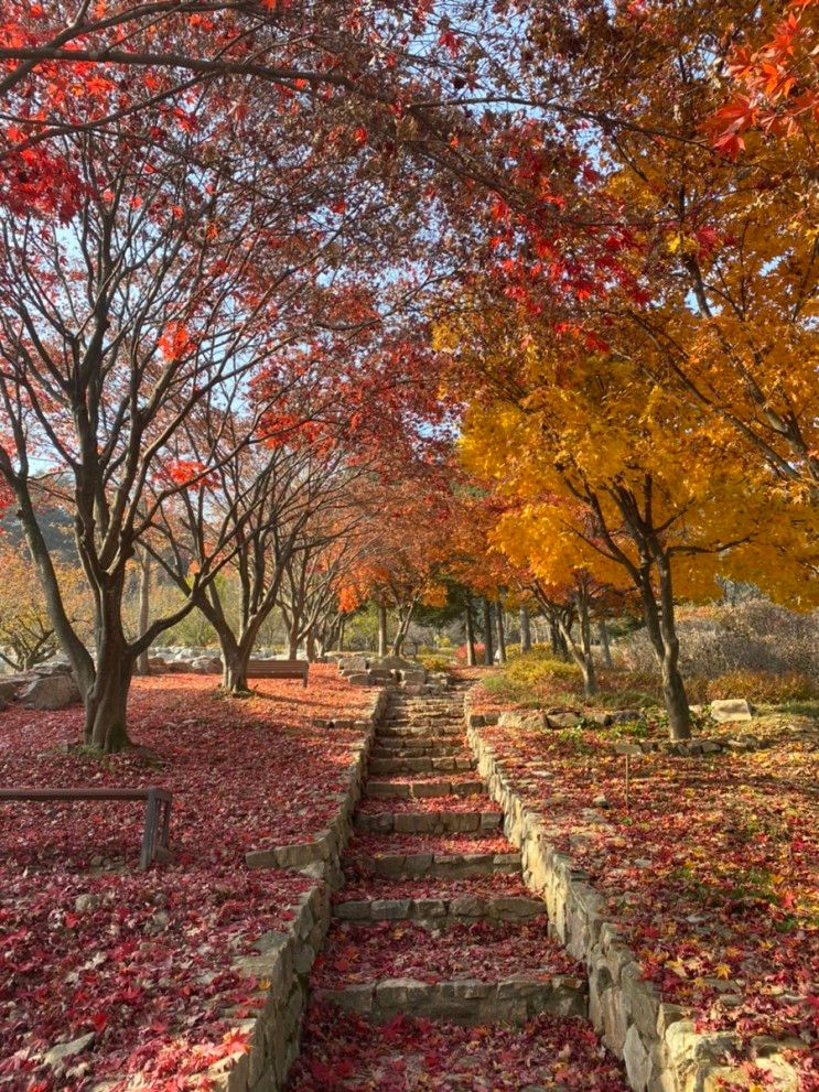 [홍천여행]무궁화수목원/카페아펠/몽고몽고글램핑