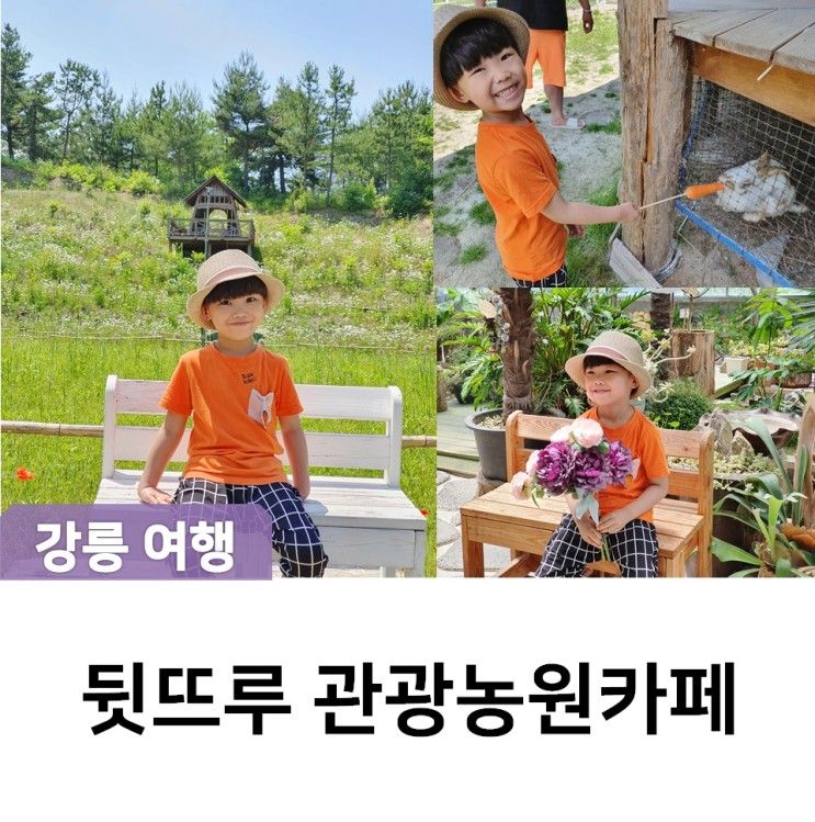 강릉가볼만한곳 뒷뜨루 관광농원카페 포토명소 인정 아이와함께 인생사진 저장